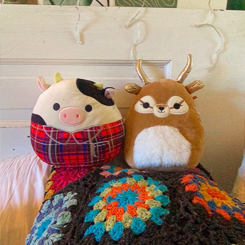 2 squishmallows